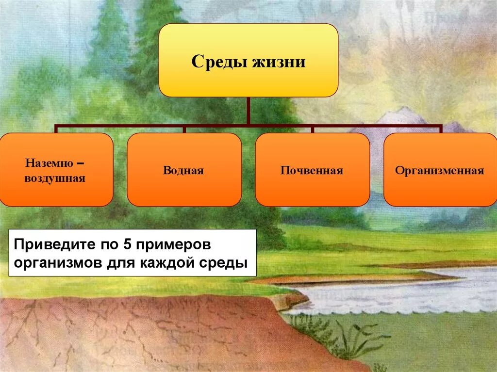 Какая среда обитания лучше. Среды жизни. Наземно-воздушная среда жизни. Наземно воздушная и почвенная среды жизни. Водная наземно-воздушная почвенная.