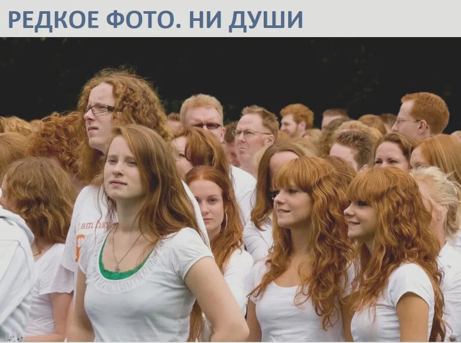 сколько процентов рыжих людей. карта процентов рыжих людей. карта рыжих людей в европе. толпа рыжих людей. процент рыжих в мире.