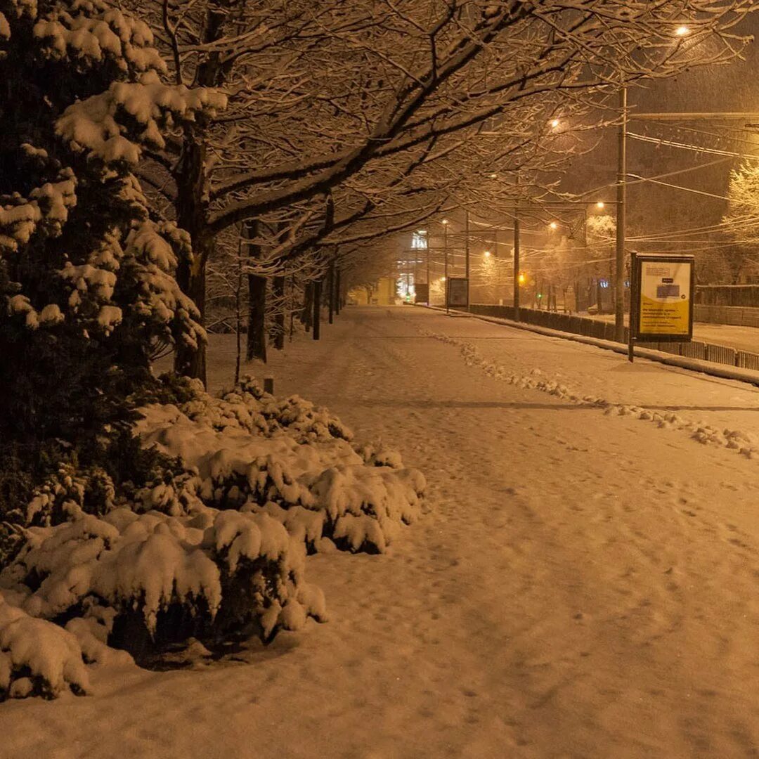 Snowfall на русском. Зима в городе. Зимняя улица. Зимняя ночь в городе. Снегопад в городе.