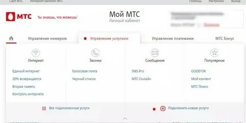 Мтс интернет пинг