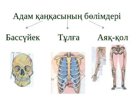 Пэрис Хилтонның секс видеосы