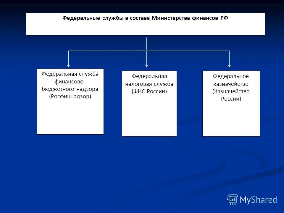Полномочия фнс. Основные функции налоговой службы. Федеральная налоговая служба финансовый контроль. Компетенция налоговых органов. Основные функции налоговой службы.