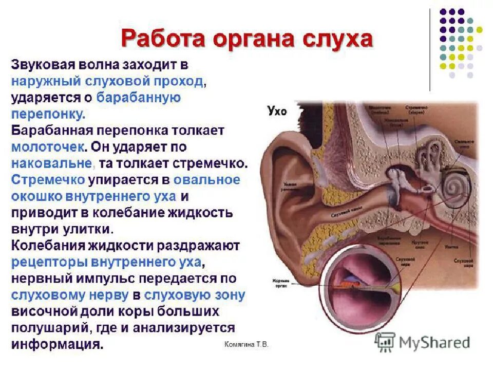 Картинки УХО НЕ СЛЫШИТ ПРОБКА