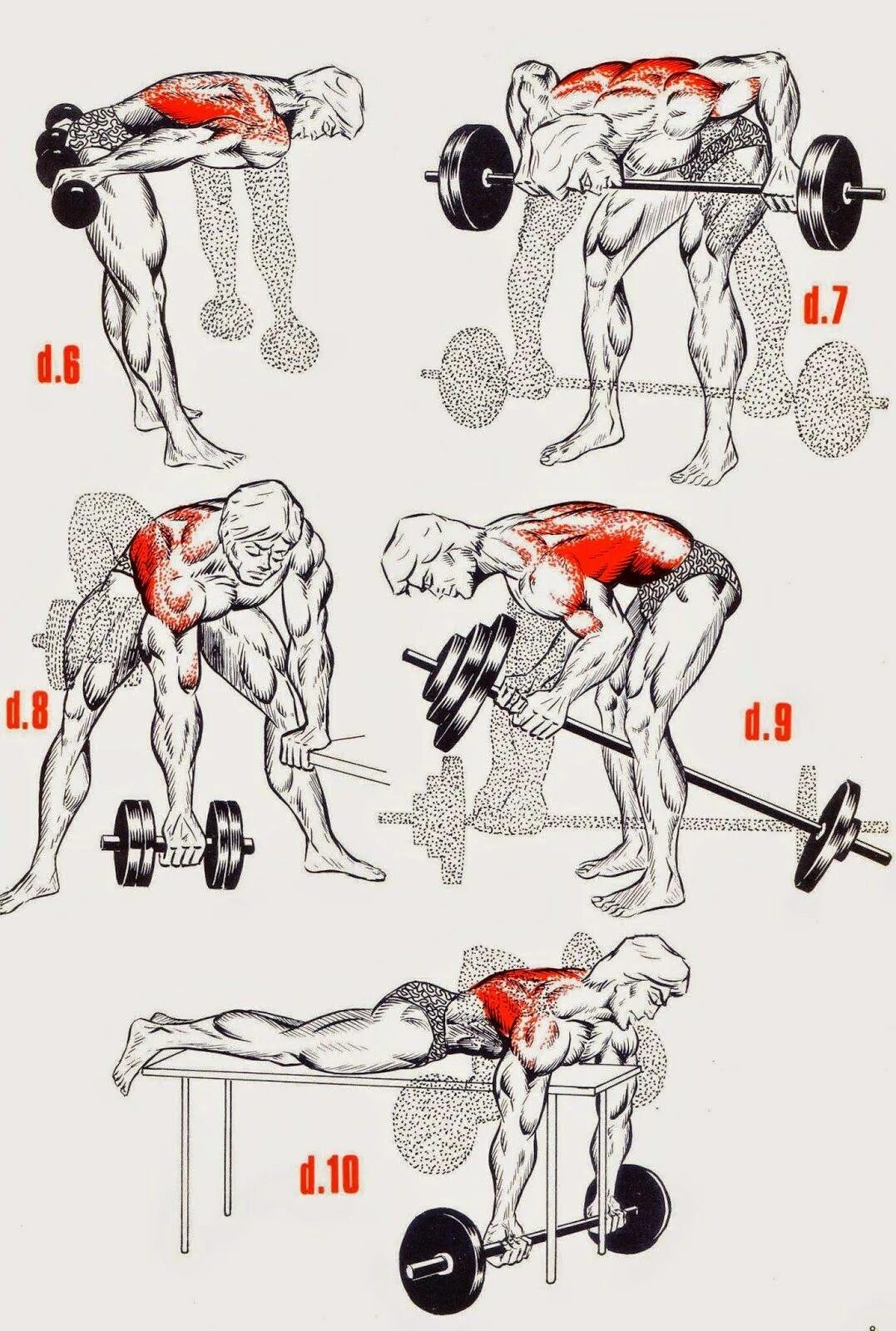 Упражнения на нижнюю спину. Как прокачать мышцы спины. Упражнения для раскачки спины. Упражнения для накачивания мышц спины. Упражнения для прокачки спины.