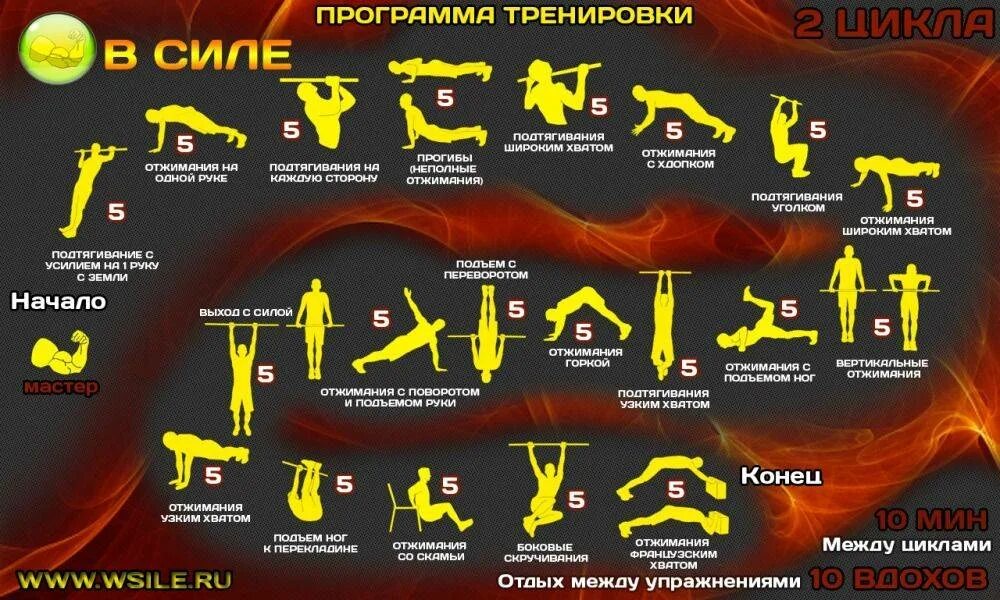 Упражнения в домашних условиях для мужчин программа. Комплекс упражнений в кроссфите. Кроссфит упражнения комплексы. Круговая тренировка план тренировки. Тренировкавынослевастивдомашнихусловиях.