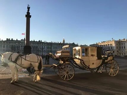 Петербург дата