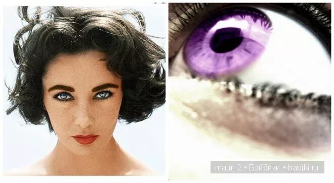 Сиреневые глаза натуральные. Люди с генезисом александрии. Происхождение александрии. Происхождение александрии. Мутация генезис александрии.