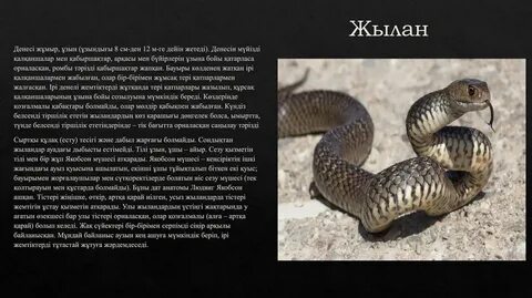 Телефонға түсірілген үйдегі әуесқой порно