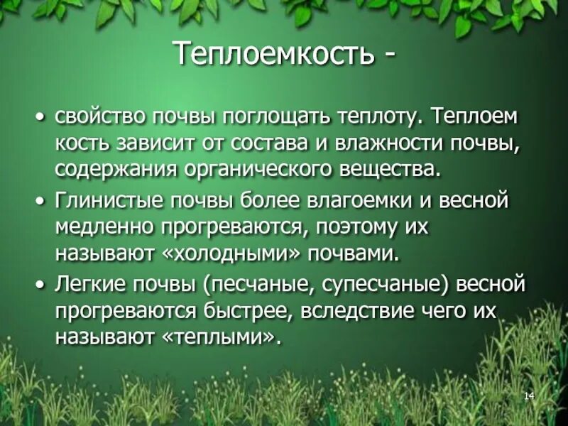 Влияния почв на растительность. Теплоемкость почвы. Влияние света на растения вывод. Теплопроводность почвенной среды. Объемная теплоемкость почвы.