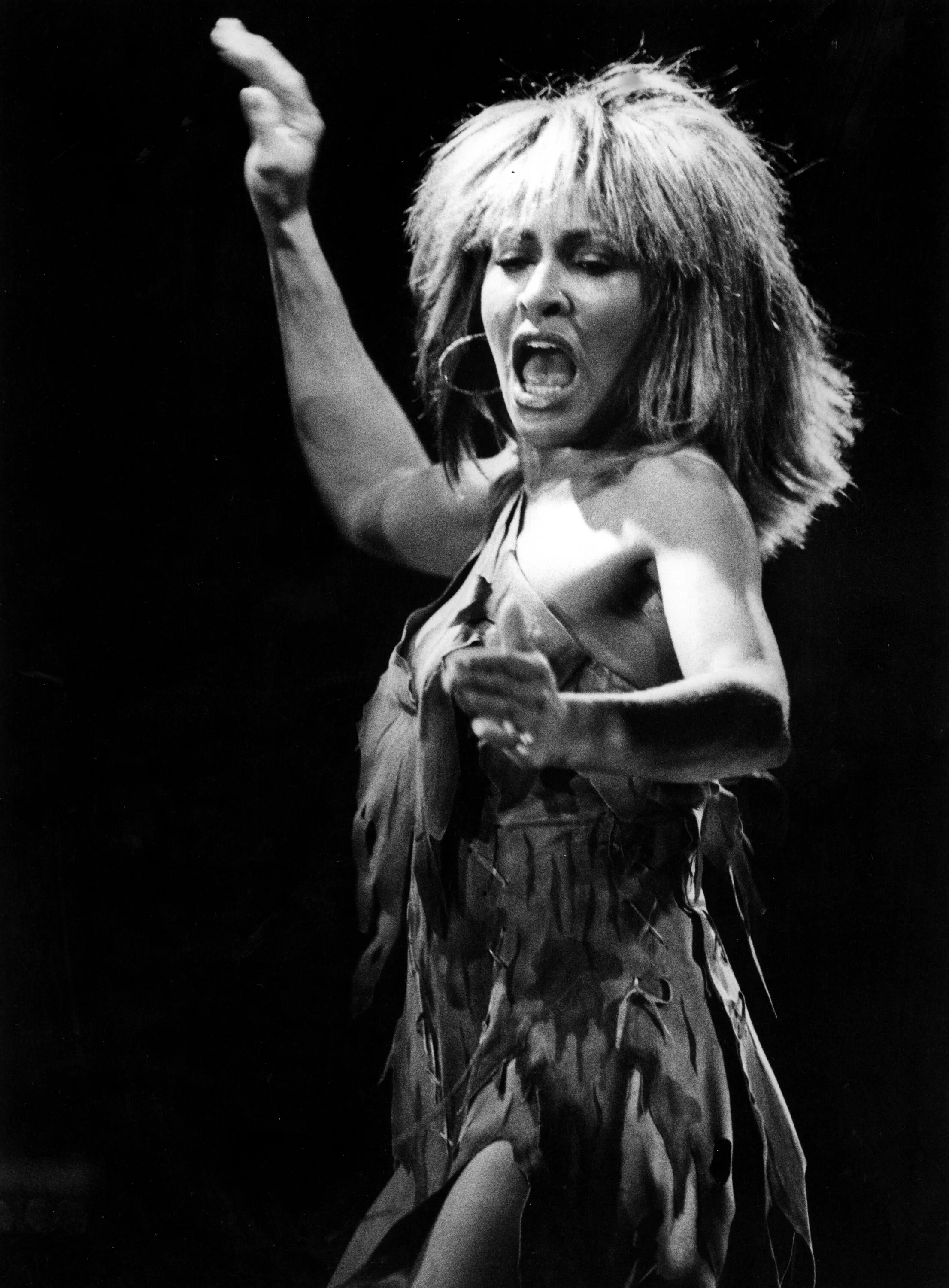 Tina Turner 1983. Пета тернер