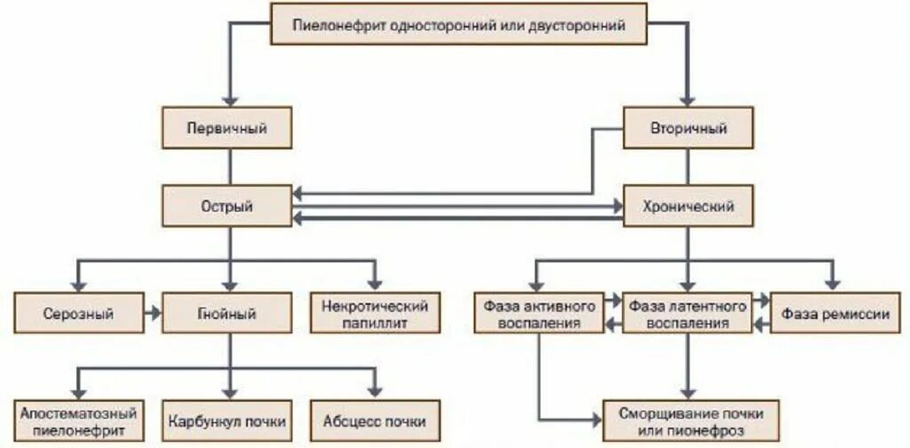 Классификация пиелонефрита. Хронический пиелонефрит классификация. патогенез хронического пиелонефрита схема. этиология хронического пиелонефрита схема. схема при хронический пиелонефрит.