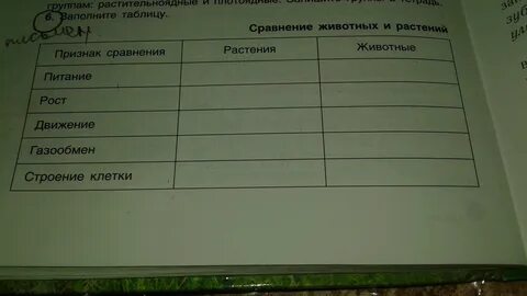 Таблица по биологии 6 класс параграф 4