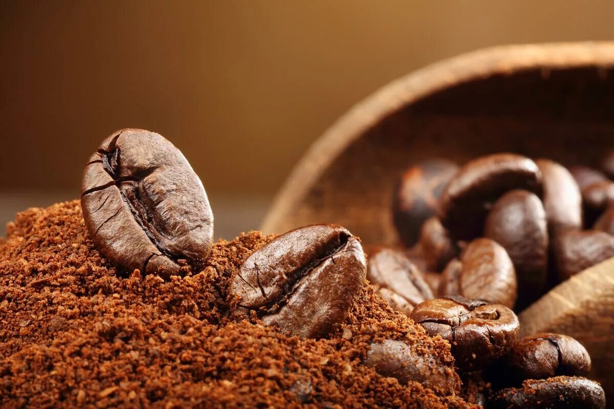 Что такое кава. Кофе в зернах. Кофейные зерна. Молотые зерна кофе. Зернышко кофе.