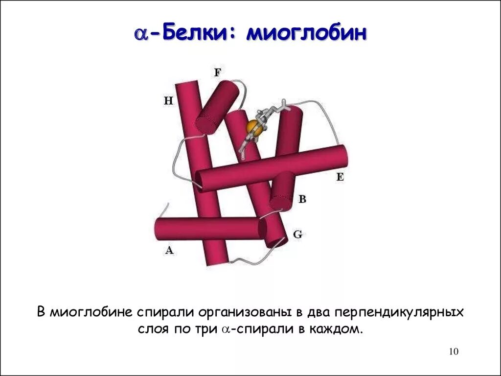 Миоглобин биохимия. Химическая структура гемоглобина. Строение гема миоглобина. Строение гема миоглобина. Строение миоглобина биохимия.