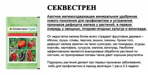 Сибсемена
