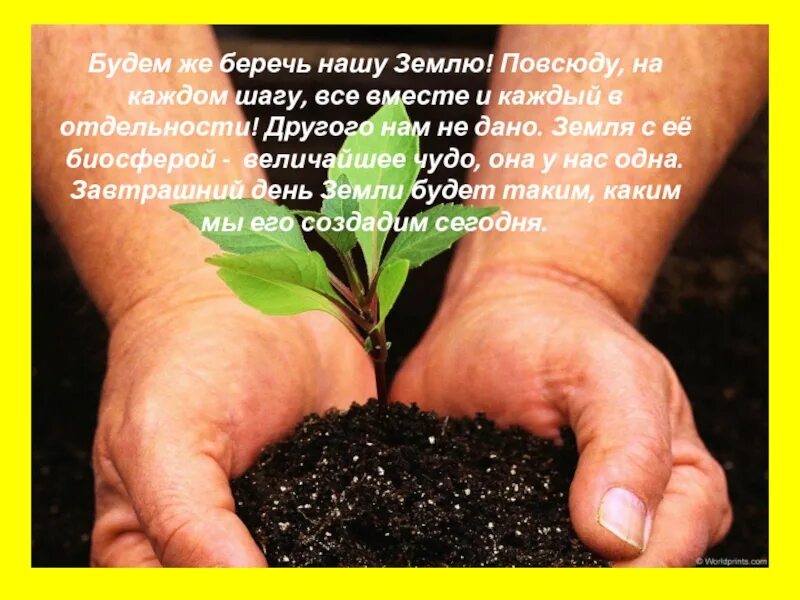 Берегите почву