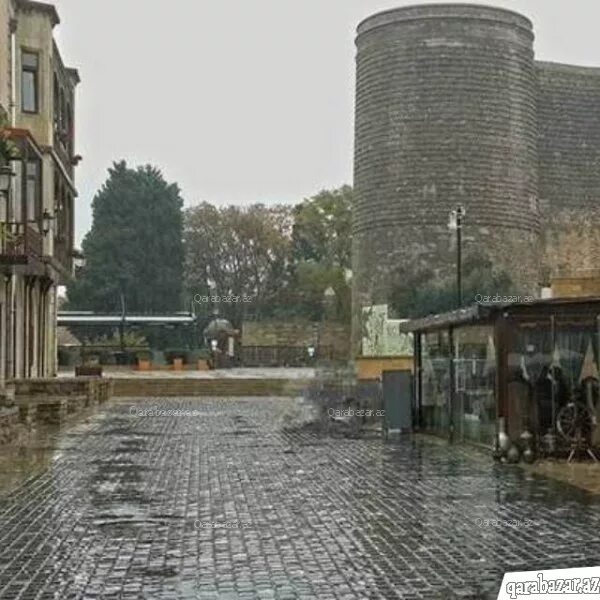 1224);. дигеду. дигибридное скрещивание гетерозигот генотип. стл модель икона антоний. преподобный антоний дымский.