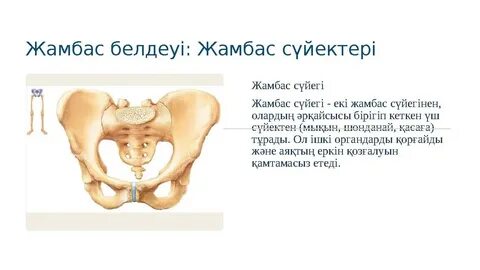 Роксананың порно суреттері