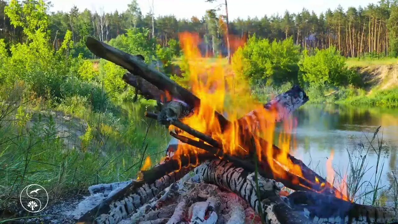 Огонь звон. Звук пожара. Костер для релакса. Горящая река. Звук костра.