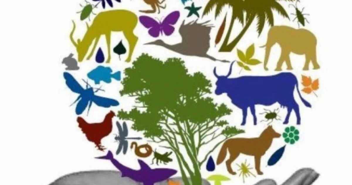 Биологическое разнообразие. Экологическое биоразнообразие. Защита и охрана флоры и фауны. Всемирный день дикой природы. Символ экологии.