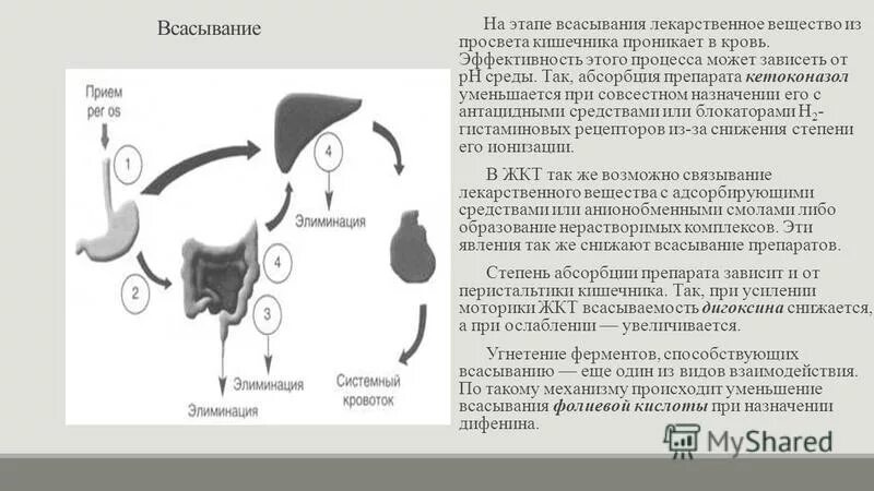 Процесс всасывания в пищеварительном тракте. Механизмы всасывания веществ в пищеварительном канале схема. Механизмы всасывания в желудочно-кишечном тракте. Процесс всасывания в пищеварительном тракте. Процесс всасывания в отделах пищеварительного тракта.