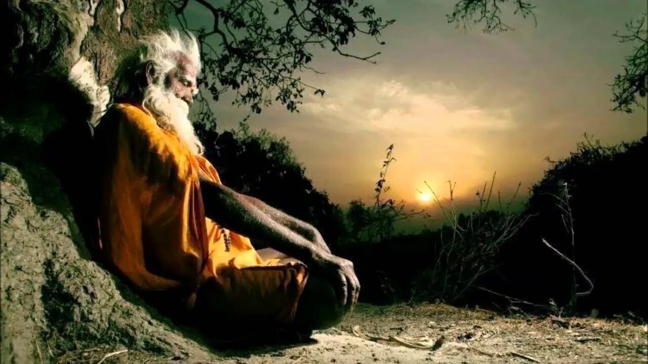 Старец лев клыков. Царь соломон. Мерлин волшебник. Мудрые цитаты. Царь соломон.