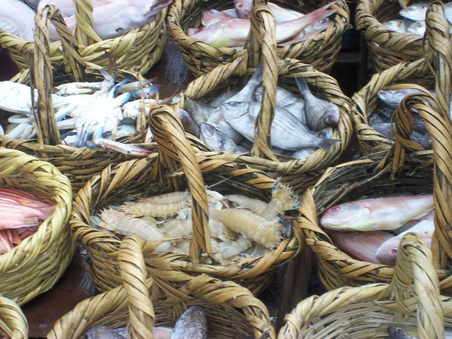 Где рыбный рынок на волне. Рыбный рынок Александрия. Рыбный рынок в Александрии Египте. Рыбный рынок Стамбул. Хайнань рыбный рынок.