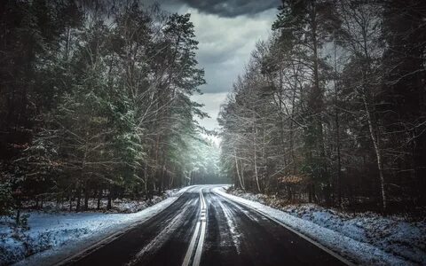 Звук дороги в лесу