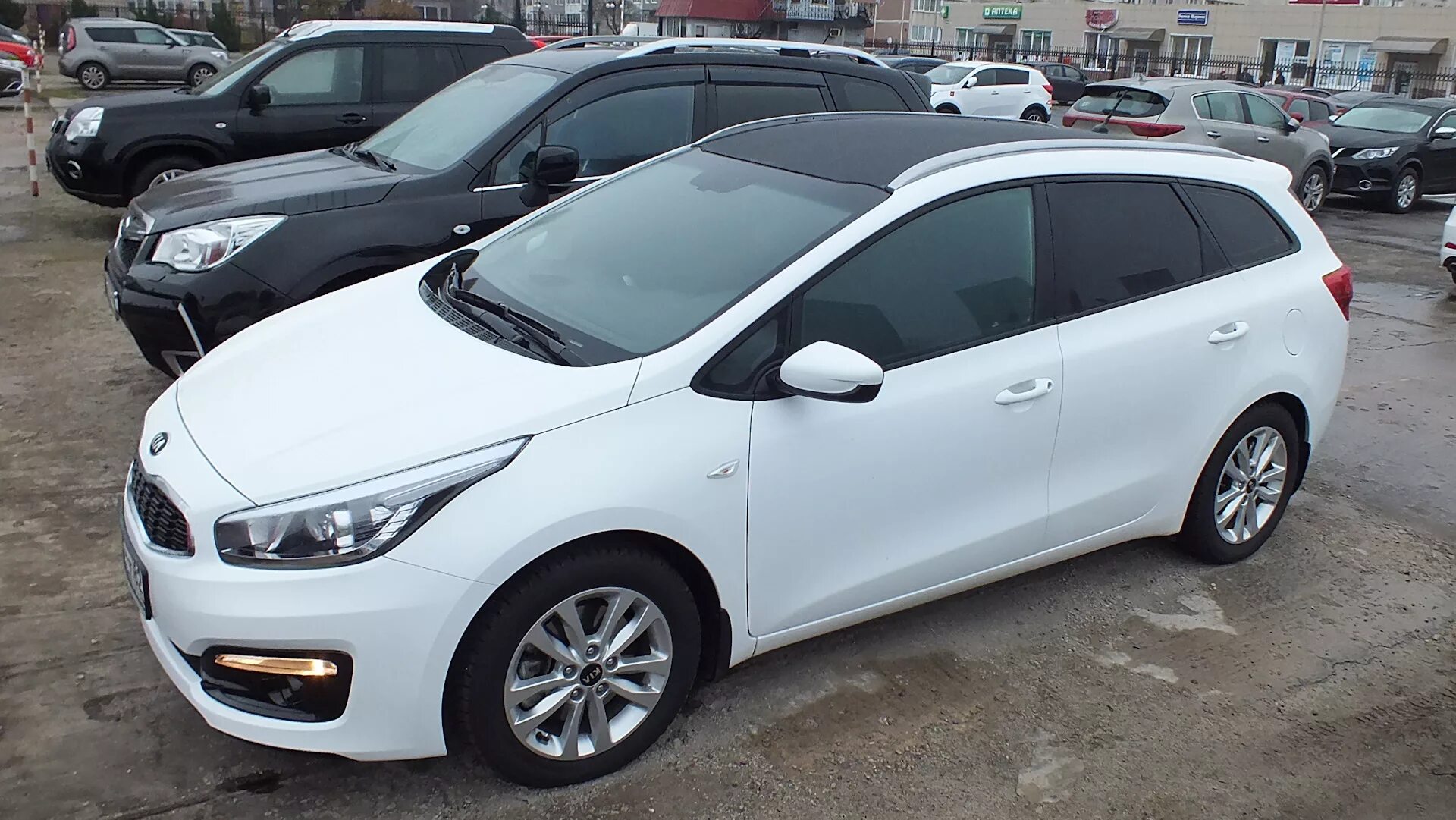 Сид сд. Киа СИД 2 универсал белый. Kia Ceed JD 2014 белый. Kia JD Ceed 2014 универсал белая. Kia Ceed JD SW белая.