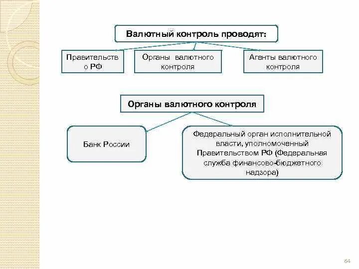 Финансово валютный контроль