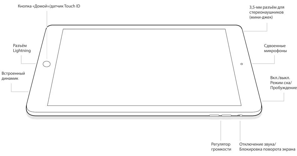 IPAD Mini 6 чертеж. Конструкция планшетов. Из чего состоит планшет. Планшеты составные части. Местоположение планшета
