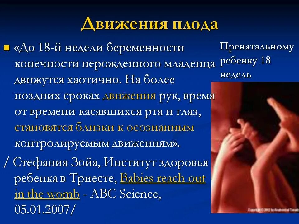 Движение плода. Первое шевеление плода при первой беременности. Когда чувствуешь шевеление плода. Во сколько недель первые шевеления.