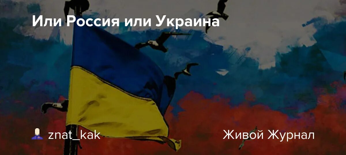 Правда ли что россия победила украину. Кто выиграет Россия или Украина. Россия выигрывает войну. Россия победила Украину. Кто побеждает Россия или Украина.