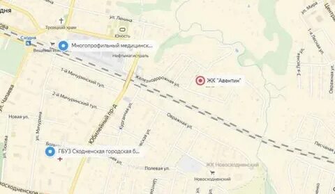 Сходня подсолнечная