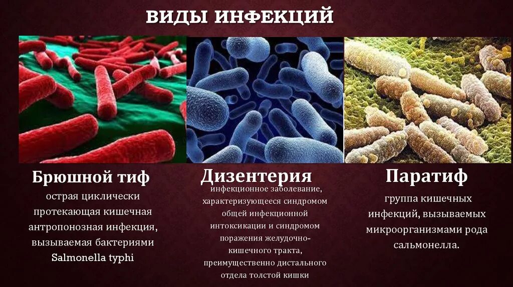 Грипп какие бактерии. Виды бактериалныхзаболеваний. Бактериизаюолевания. Бактерии возбудители заболеваний. Микроорганизмы инфекционные заболевания.
