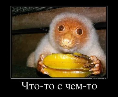 Не знаю но мне весело