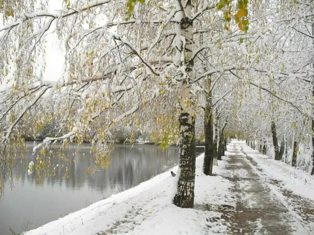 Первый снег герои. Первый снег Брюсова. Брюсов 1 снег.