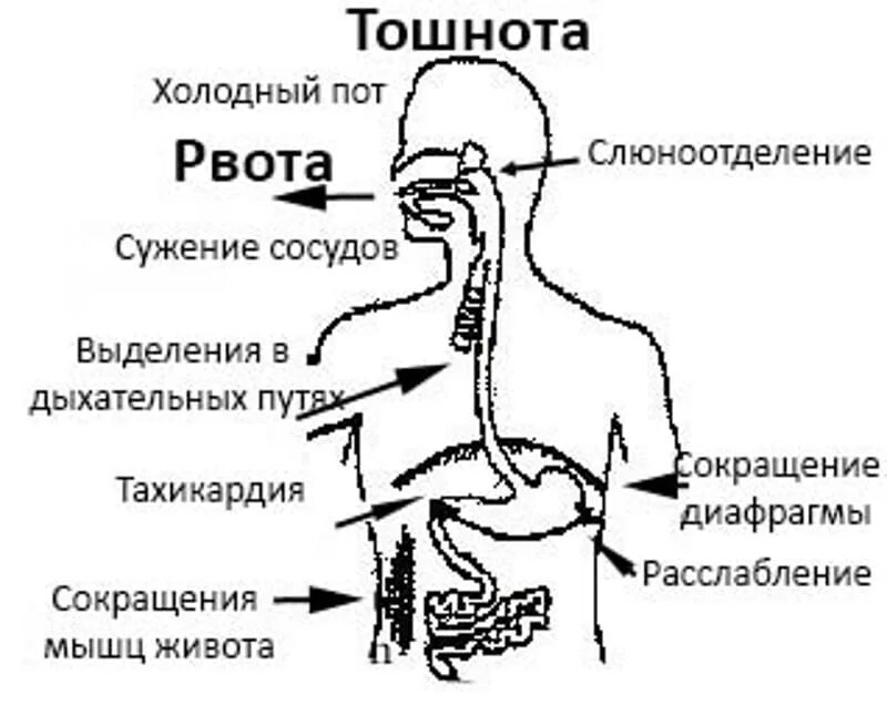 Слюноотделение рвота