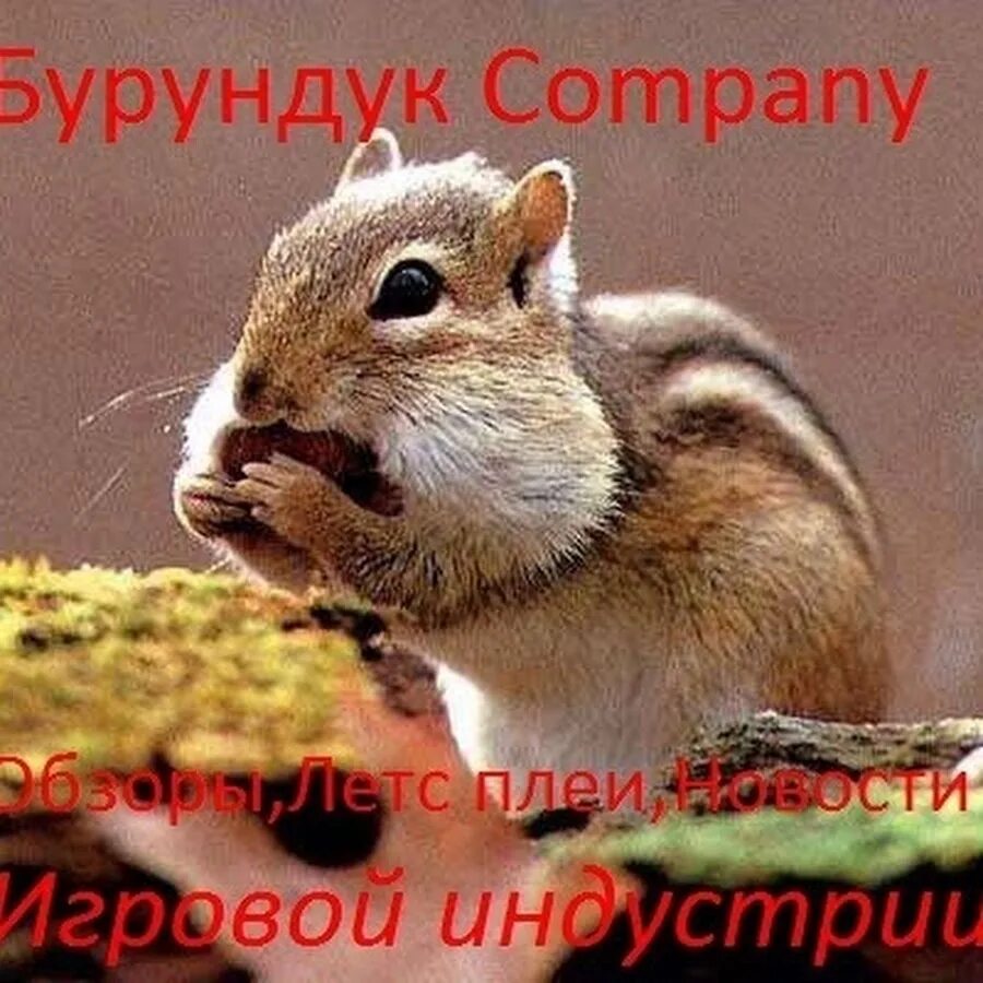 Бурундуки гага. Бурундуки гага. Бурундуки гага. Бурундуки гага. Элвин и бурундуки раскраска.
