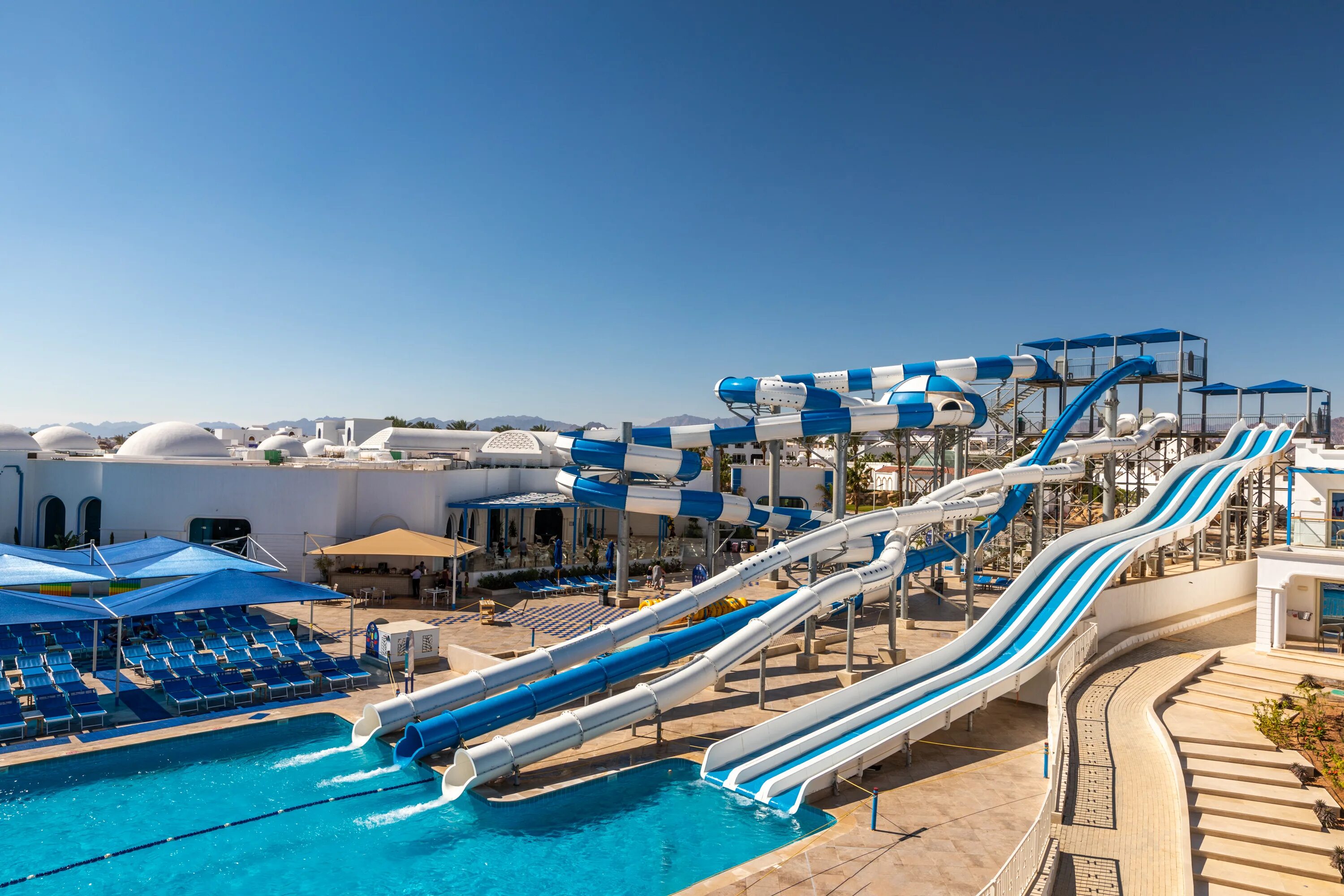 Fun sun шарм эль шейх albatros. Египет fun Sun Family Albatros Palace. Альбатрос Палас Резорт Шарм-Эль-Шейх. Fun Sun Albatros Palace 5. Family Albatros Palace 5 Шарм-Эль-Шейх.