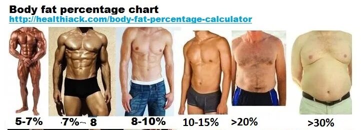 Процент жира. 20% Жира. % Жира в организме. 15 Жира в теле мужчины.