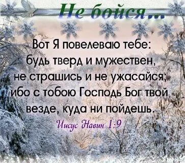 Твой везде