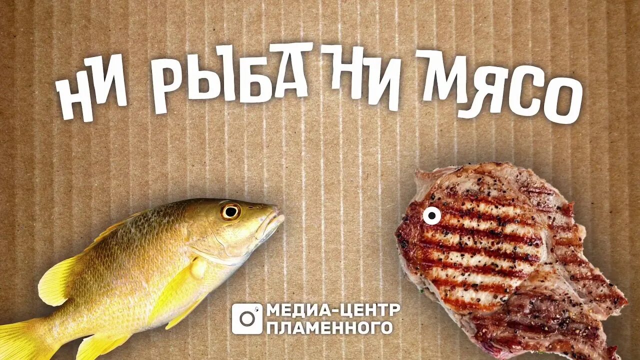 Ни рыба ни мясо почему ни. Ни рыба ни мясо. Ни рыба на мясо. Ни рыбани мясо. Ни рыба ни мясо картинка.