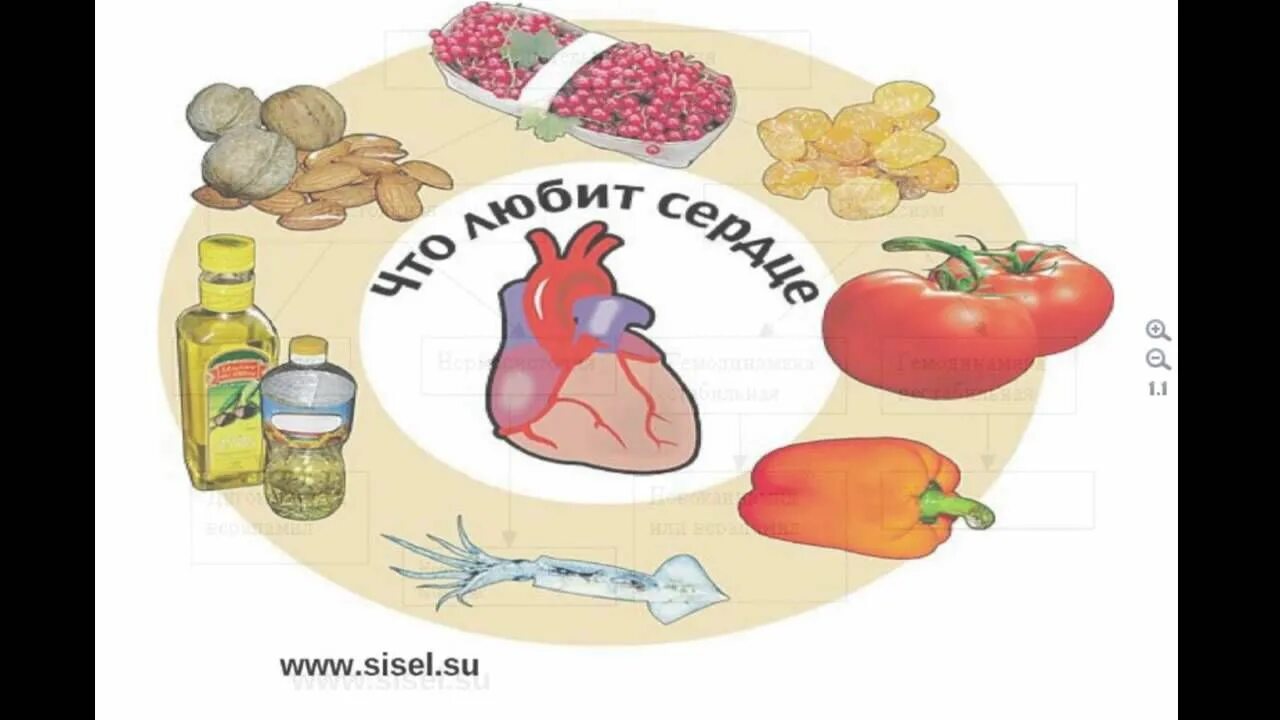 Диета при аритмии сердца. Питание при аритмии сердца. Продукты для сердца при аритмии. Питание при нарушение ритма сердца. Профилактика аритмии.