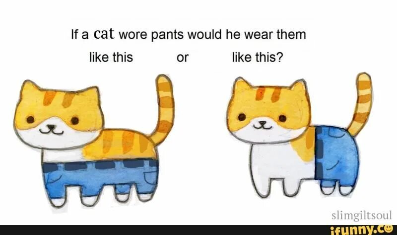 Cat Pants. Cat in Pants. Кот Терф. Cat Vibe рисунок. There isn t a cat