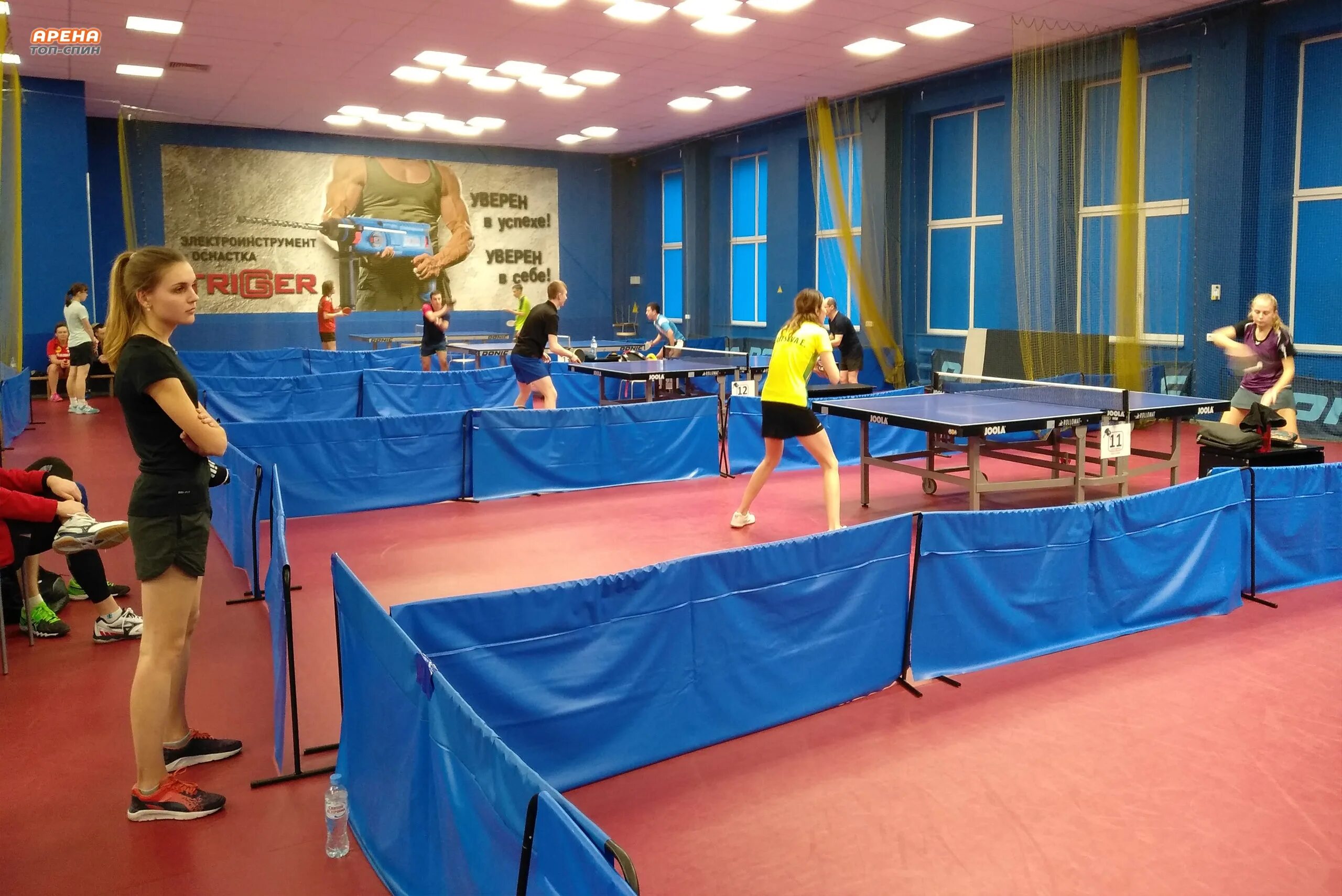 Магазины настольного тенниса в петербурге. Магазины настольного тенниса в петербурге. Пинг-понг. Набор для пинг-понга (сетка, 2 ракетки, 3 шарика) oubaoloon 00-0762. Турнир по теннису спб.