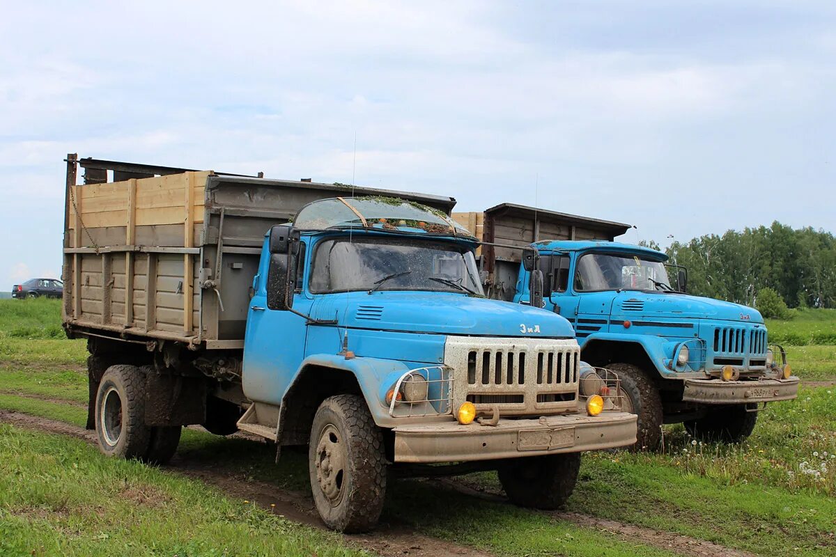 Продажа автомобилей татарск. ЗИЛ 130 Силосование. ЗИЛ 130 сенаж. ЗИЛ 130 колхозник. ЗИЛ 130 на уборке силоса.