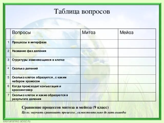 Какие процессы происходят в интерфазе митоза. Какие процессы происходят в интерфазе митоза