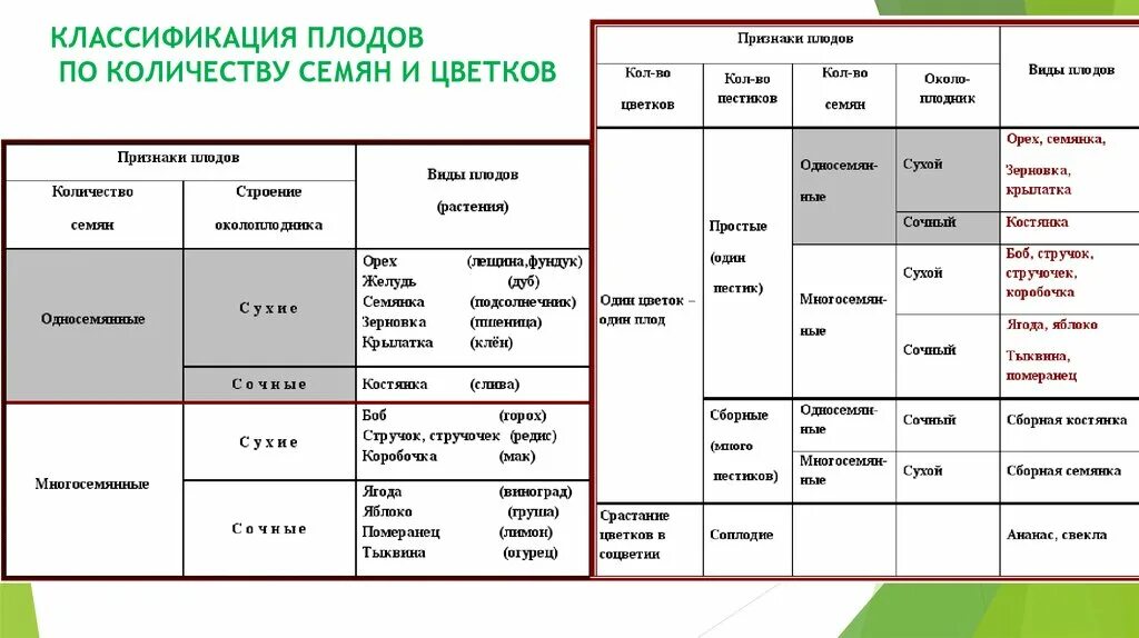 Таблица основные виды растений. Плод строение плода классификация плодов. Классификация плодов биология 6. Классификация плодов растений таблица. Таблица классификация плодов биология 6 класс.