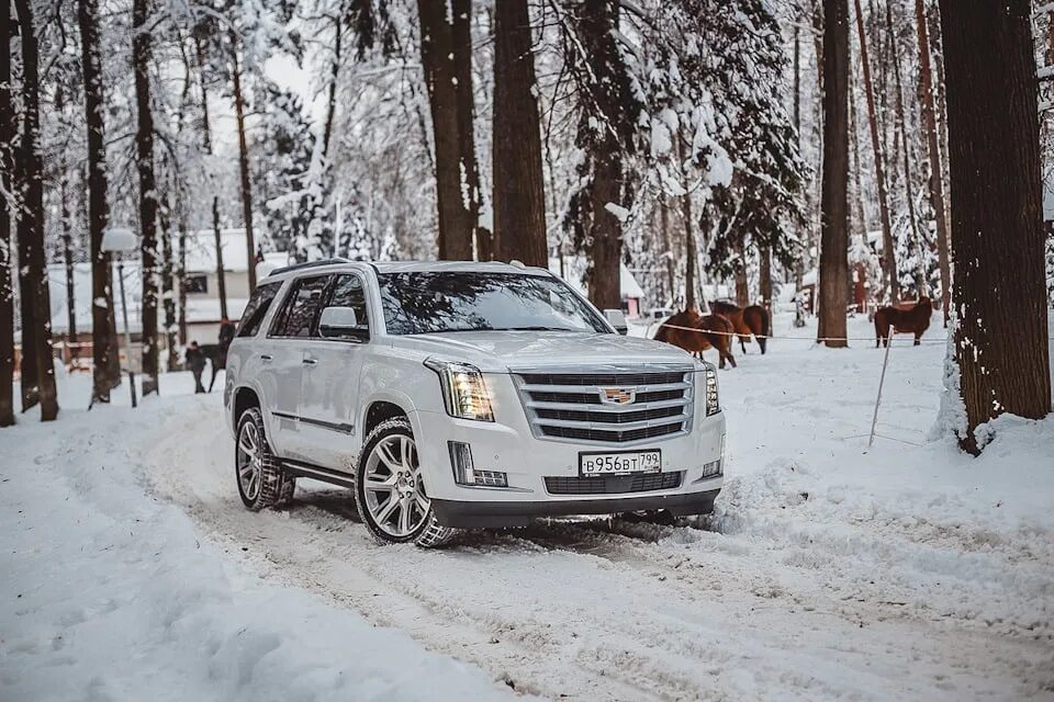 Кадиллак Эскалейд зима. Белый Кадиллак Эскалейд зимой. Cadillac Escalade 4g. Cadillac Escalade 2023. Дром ру 2023